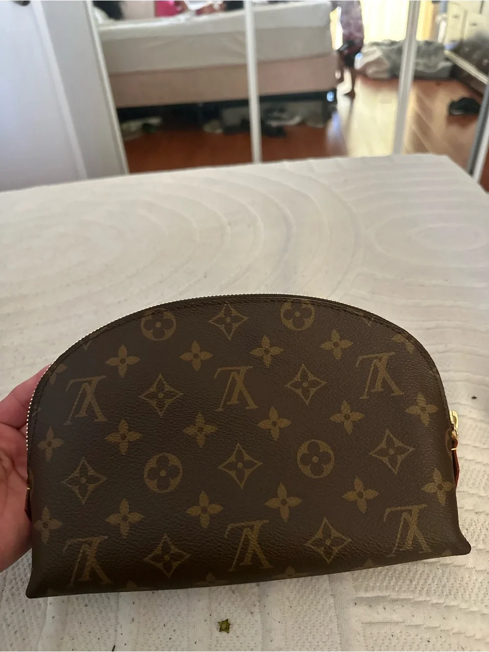 Louis Vuitton Monogram Canvas Cosmetic Pouch in Brown